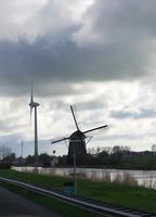 Am Wegesrand 