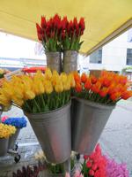 Bloemenmarkt 