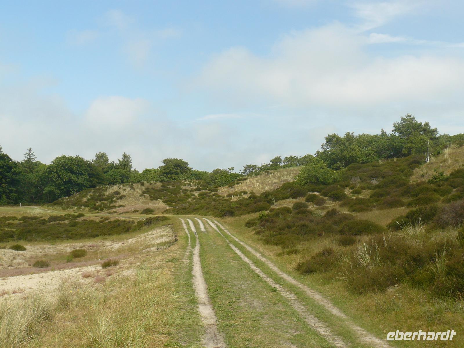 Dünen bei Bergen