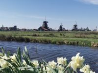 Die Windmühlen in Zaanse Schans