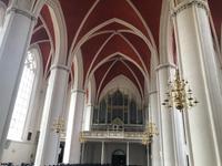 Dom Verden 