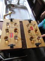 Genever-Tasting