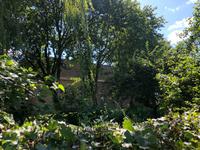 Godlinze
