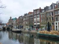 Gouda