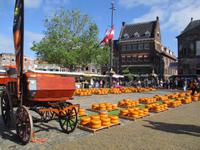 Gouda
