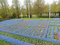 Im Keukenhof