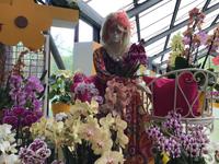 Keukenhof Amsterdam