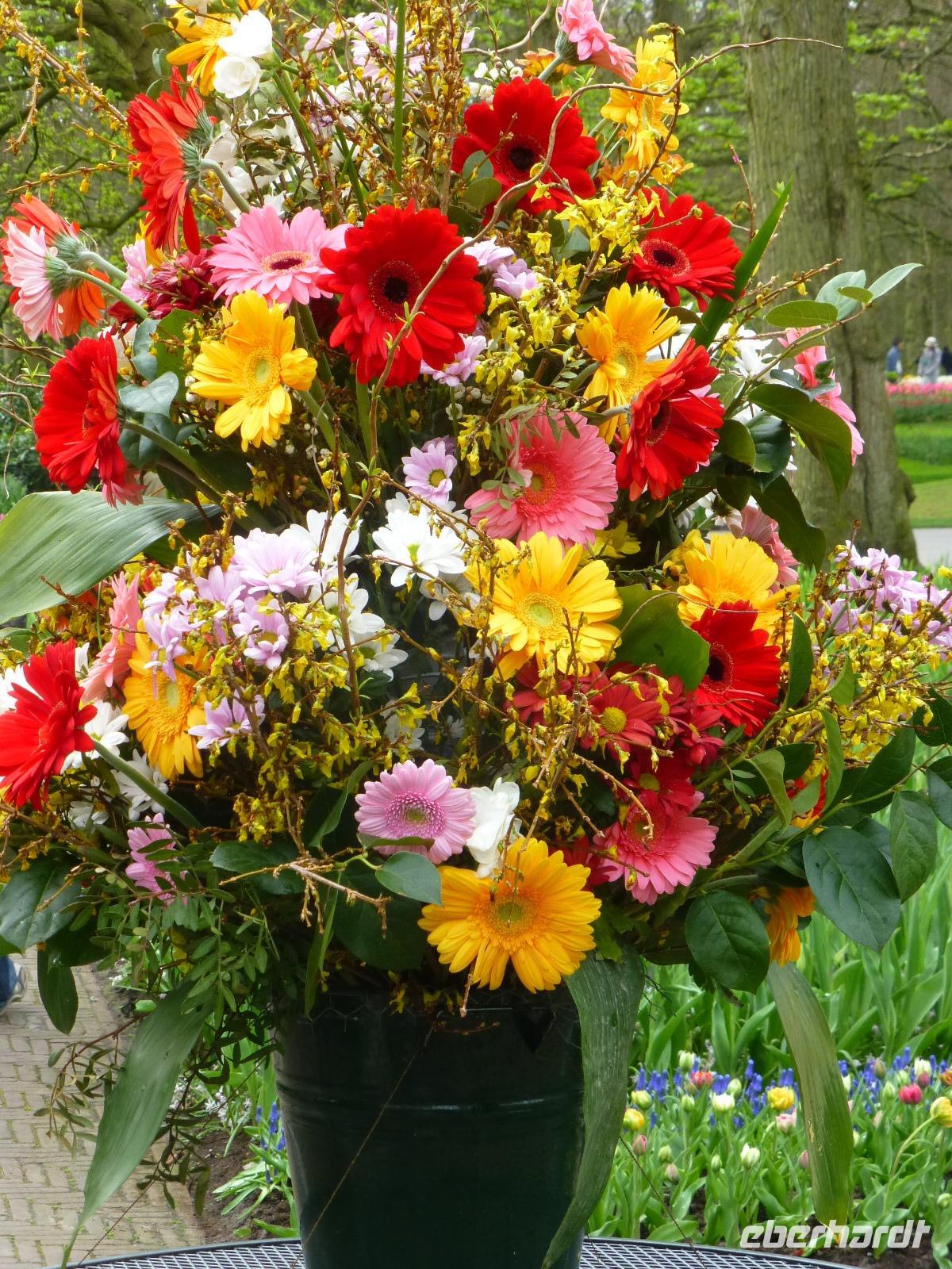 Keukenhof