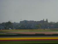 Keukenhof