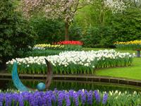 Keukenhof