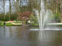 Keukenhof