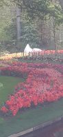 Keukenhof