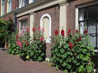 Leiden