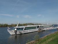 MS Amadeus