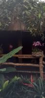 Orchideen Hoeve