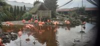 Orchideen Hoeve