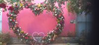 Orchideen Hoeve