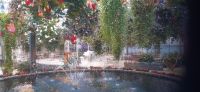 Orchideen Hoeve