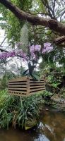 Pantropica