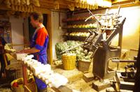 Rembrandt Hoeve (3)