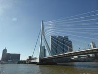 Rotterdam Hafenrundfahrt - Erasmusbrücke