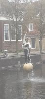 Sneek