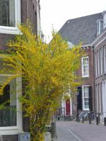 Utrecht