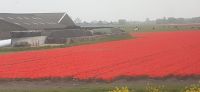Zugfahrt nach Medemblik