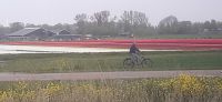 Zugfahrt nach Medemblik
