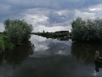 die Windmühlen von Kinderdijk