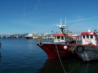 O`Grove- Fischerhafen