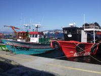 Im Hafen von O Grove