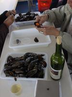 Muscheln bis zum Abwinken