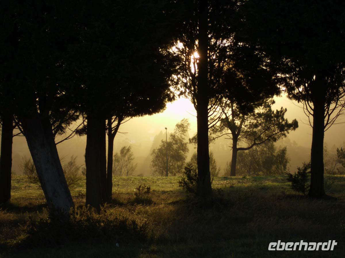 Morgens auf dem Monte da Gozo