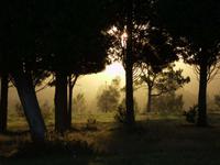 Morgens auf dem Monte da Gozo
