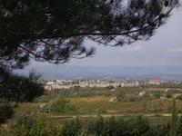 Blick auf Carcassonne