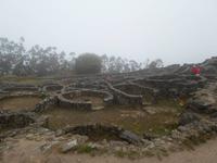 Catros am Monte Santa Tegra