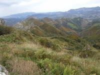 Picos de Europa