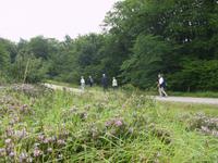Auf dem Weg zum Mirador Rubén