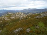 Picos de Europa