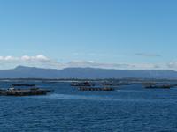Ria Arousa- Catamaran-Fahrt