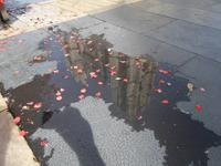 Widerspiegelung der Kathedrale in einer Pfütze