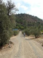 Scheunendachkirche Asinou - 