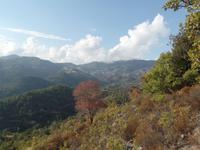 Spaziergang nahe Agros