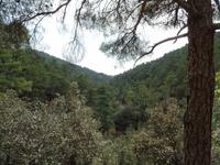 Wanderung im Trodosgebirge zu den Kalydona Wasserfällen