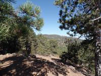 Persefoni Wanderweg im Trodosgebirge