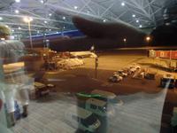 endlich ist der Vogel da