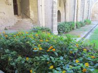 Abtei Bellapais (10)