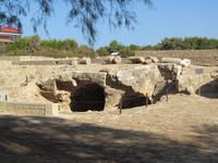 Besichtigung der Mosaiken und das Haus des Dionisos (2)