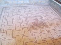 Besichtigung der Mosaiken und das Haus des Dionisos (3)